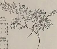 An illustration from A treatise on embroidery, crochet and knitting .. (1899)