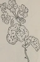 An illustration from A treatise on embroidery, crochet and knitting .. (1899)