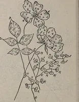 An illustration from A treatise on embroidery, crochet and knitting .. (1899)