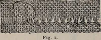 An illustration from A treatise on embroidery, crochet and knitting .. (1899)
