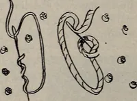 An illustration from A treatise on embroidery, crochet and knitting .. (1899)