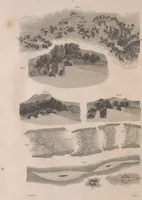 An illustration from A treatise on forming, improving, and managing country residences : and on the choice of situations appropriate to every class of purchasers. In all which the object in view is to unite in a better manner than has hitherto been done, a taste founded in nature with economy and utility, in constructing or improving mansions, and other rural buildings, so as to combine architectural fitness with picturesque effect, and in forming gardens, orchards, farms, parks, pleasure-grounds, shrubberies, all kinds of useful or decorative plantations, and every object of convenience or beauty peculiar to country seats, according to the extent, character, or style of situations, and the rank, fortune, and expenditure of proprietors, from the cottage to the palace. With an appendix, containing an enquiry into the utility and merits of Mr. Repton's mode of shewing effects by slides and sketches, and strictures on his opinions and practice in landscape gardening. Illustrated by descriptions of scenery and buildings, by references to country seats, and passages of country in most parts of Great Britain, and by thirty-two engravings (1806)