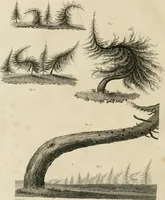 An illustration from A treatise on forming, improving, and managing country residences : and on the choice of situations appropriate to every class of purchasers, in all which the object in view is to unite in a better manner than has hitherto been done, a taste founded in nature with economy and utility, in constructing or improving mansions, and other rural buildings, so as to combine architectural fitness with picturesque effect ... : with an appendix, containing an enquiry into the utility and merits of Mr. Repton's mode of shewing effects by slides and sketches, and strictures on his opinions and practice in landscape gardening : illustrated by descriptions of scenery and buildings, by references to country seats, and passages of country in most parts of Great Britain, and by thirty-two engravings (1806)