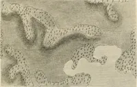 An illustration from A treatise on forming, improving, and managing country residences : and on the choice of situations appropriate to every class of purchasers, in all which the object in view is to unite in a better manner than has hitherto been done, a taste founded in nature with economy and utility, in constructing or improving mansions, and other rural buildings, so as to combine architectural fitness with picturesque effect ... : with an appendix, containing an enquiry into the utility and merits of Mr. Repton's mode of shewing effects by slides and sketches, and strictures on his opinions and practice in landscape gardening : illustrated by descriptions of scenery and buildings, by references to country seats, and passages of country in most parts of Great Britain, and by thirty-two engravings (1806)