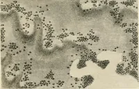 An illustration from A treatise on forming, improving, and managing country residences : and on the choice of situations appropriate to every class of purchasers, in all which the object in view is to unite in a better manner than has hitherto been done, a taste founded in nature with economy and utility, in constructing or improving mansions, and other rural buildings, so as to combine architectural fitness with picturesque effect ... : with an appendix, containing an enquiry into the utility and merits of Mr. Repton's mode of shewing effects by slides and sketches, and strictures on his opinions and practice in landscape gardening : illustrated by descriptions of scenery and buildings, by references to country seats, and passages of country in most parts of Great Britain, and by thirty-two engravings (1806)