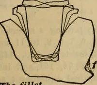 Picture 27 of 146 from A treatise on gear wheels (1904), leaf 22