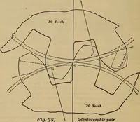 Picture 34 of 146 from A treatise on gear wheels (1904), leaf 31