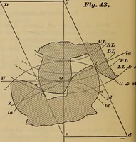 An illustration from A treatise on gear wheels (1904)