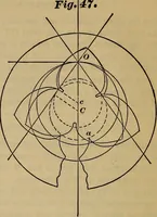 Picture 41 of 146 from A treatise on gear wheels (1904), leaf 37