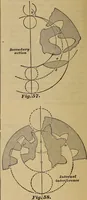 Picture 51 of 146 from A treatise on gear wheels (1904), leaf 43