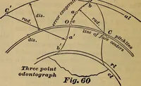 Picture 53 of 146 from A treatise on gear wheels (1904), leaf 45