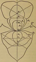 Picture 90 of 146 from A treatise on gear wheels (1904), leaf 71