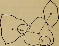 Picture 91 of 146 from A treatise on gear wheels (1904), leaf 71