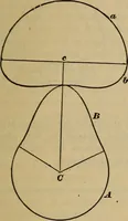 An illustration from A treatise on gear wheels (1904)