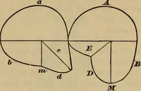 Picture 99 of 146 from A treatise on gear wheels (1904), leaf 74