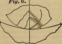 Picture 7 of 146 from A treatise on gear wheels (1904), leaf 8