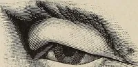 An illustration from A treatise on human nature and physiognomy (1882)