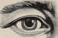 An illustration from A treatise on human nature and physiognomy (1882)