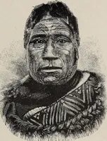 An illustration from A treatise on human nature and physiognomy (1882)