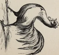 Picture 39 of 84 from A treatise on human nature and physiognomy (1882), leaf 264