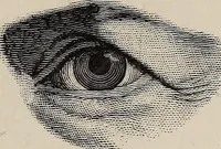 Picture 41 of 84 from A treatise on human nature and physiognomy (1882), leaf 314
