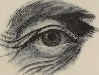 An illustration from A treatise on human nature and physiognomy (1882)