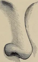 An illustration from A treatise on human nature and physiognomy (1882)