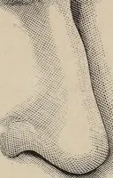 Picture 6 of 84 from A treatise on human nature and physiognomy (1882), leaf 46