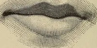 Picture 9 of 84 from A treatise on human nature and physiognomy (1882), leaf 53
