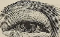 An illustration from A treatise on human nature and physiognomy (1882)