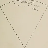 Picture 57 of 84 from A treatise on human nature and physiognomy (1882), leaf 600