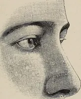 An illustration from A treatise on human nature and physiognomy (1882)