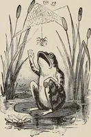 Picture 61 of 84 from A treatise on human nature and physiognomy (1882), leaf 639