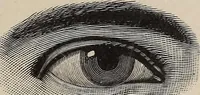 Picture 11 of 84 from A treatise on human nature and physiognomy (1882), leaf 66