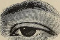 Picture 12 of 84 from A treatise on human nature and physiognomy (1882), leaf 66