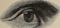 Picture 15 of 84 from A treatise on human nature and physiognomy (1882), leaf 72