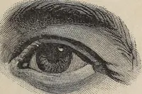 Picture 18 of 84 from A treatise on human nature and physiognomy (1882), leaf 72