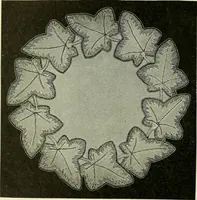 An illustration from A treatise on lace-making, embroidery, and needle-work with Irish flax threads (1892)