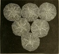 An illustration from A treatise on lace-making, embroidery, and needle-work with Irish flax threads (1892)