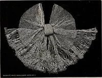 Picture 31 of 69 from A treatise on lace-making, embroidery, and needle-work with Irish flax threads (1892), leaf 67
