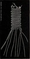 An illustration from A treatise on lace-making, embroidery, and needle-work with Irish flax threads (1892)