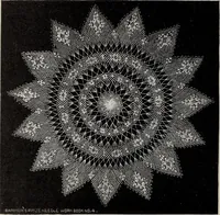 An illustration from A treatise on lace-making, embroidery, and needle-work with Irish flax threads (1892)