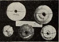 An illustration from A treatise on lace-making, embroidery, and needle-work with Irish flax threads (1892)