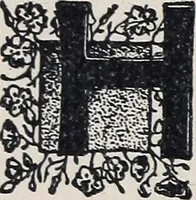 An illustration from A treatise on lace-making, embroidery, and needle-work with Irish flax threads (1892)