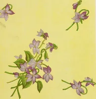 Picture 50 of 77 from A treatise on lace-making, embroidery, and needle-work with Irish flax threads (1892), leaf 92