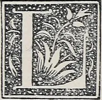 An illustration from A treatise on lace-making, embroidery, and needle-work with Irish flax threads (1892)