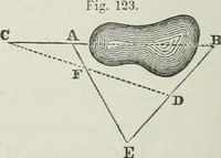 An illustration from A treatise on land-surveying; comprising the theory developed from five elementary principles; and the practice with the chain alone, the compass, the transit, the theodolite, the plane table, &c. Illustrated by four hundred engravings, and a magnetic chart (1875)