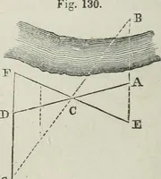 An illustration from A treatise on land-surveying; comprising the theory developed from five elementary principles; and the practice with the chain alone, the compass, the transit, the theodolite, the plane table, &c. Illustrated by four hundred engravings, and a magnetic chart (1875)