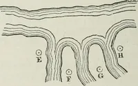 An illustration from A treatise on land-surveying; comprising the theory developed from five elementary principles; and the practice with the chain alone, the compass, the transit, the theodolite, the plane table, &c. Illustrated by four hundred engravings, and a magnetic chart (1875)