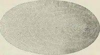 An illustration from A treatise on land-surveying; comprising the theory developed from five elementary principles; and the practice with the chain alone, the compass, the transit, the theodolite, the plane table, &c. Illustrated by four hundred engravings, and a magnetic chart (1875)